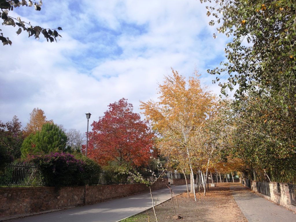Imagen del paisaje que rodea el Paseo Ribereño de Cieza.