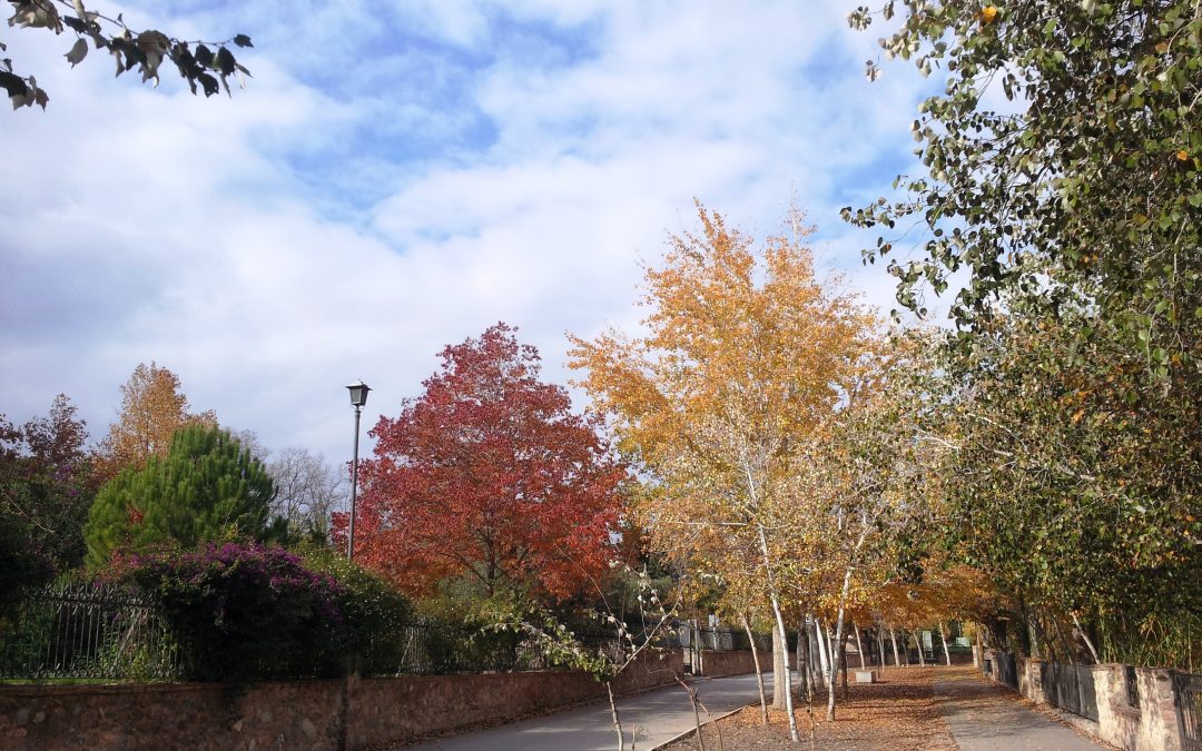 El Ayuntamiento alerta de la presencia de veneno en el Paseo Ribereño y la Era