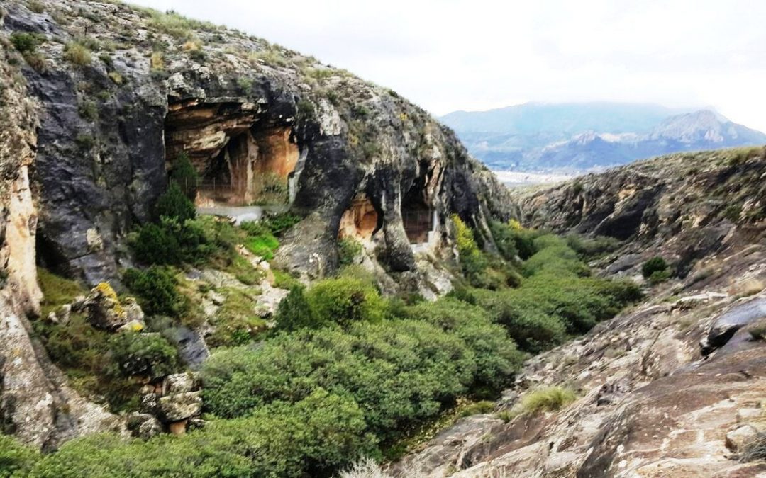 El miércoles 1 de noviembre comienzan las nuevas visitas guiadas, esta semana podrás conocer el Abrigo de los Grajos