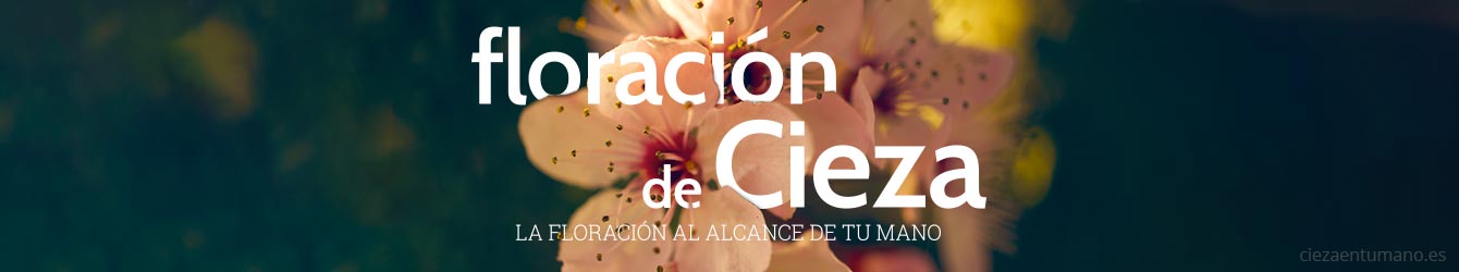 Cieza Cultural