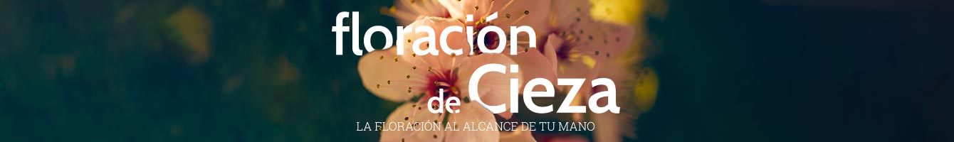 Floración de Cieza.