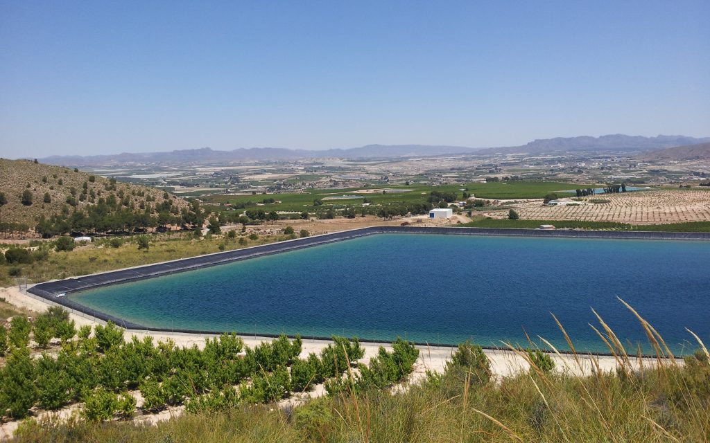 Foto de una balsa de riego y frutales en Cieza.