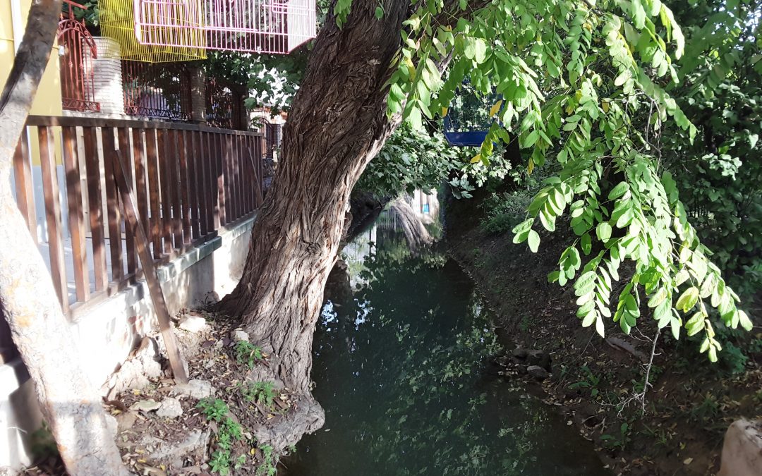 El Ayuntamiento de Cieza afirma que el empuje municipal hace que la acequia de La Andelma sea declarada bien de interés cultural