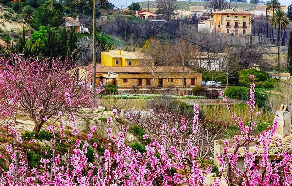 Albergue la Atalaya
