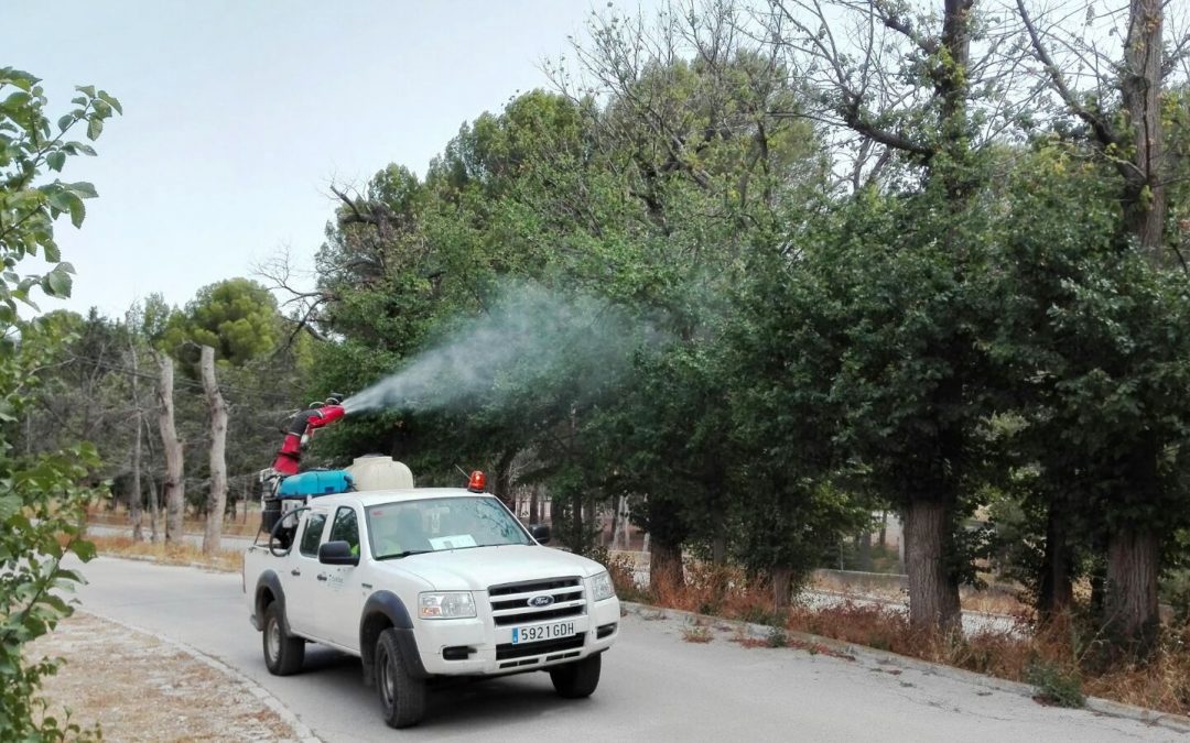 La Comunidad aplica un tratamiento para combatir la plaga de galeruca en la olmeda de Cieza