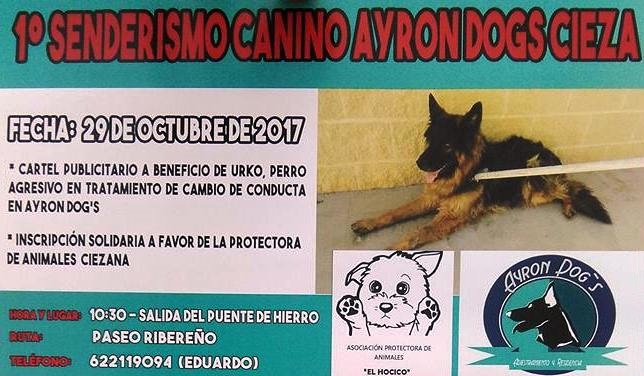 I Senderismo Canino AYRON DOG’s en Cieza