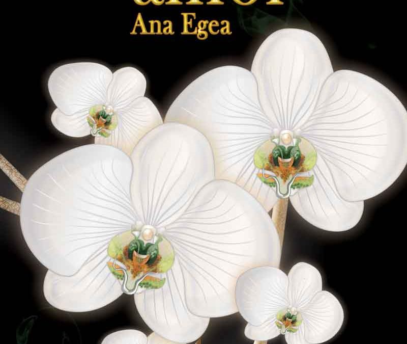 Presentación del libro “Entornos de amor” por Ana Egea Hervás