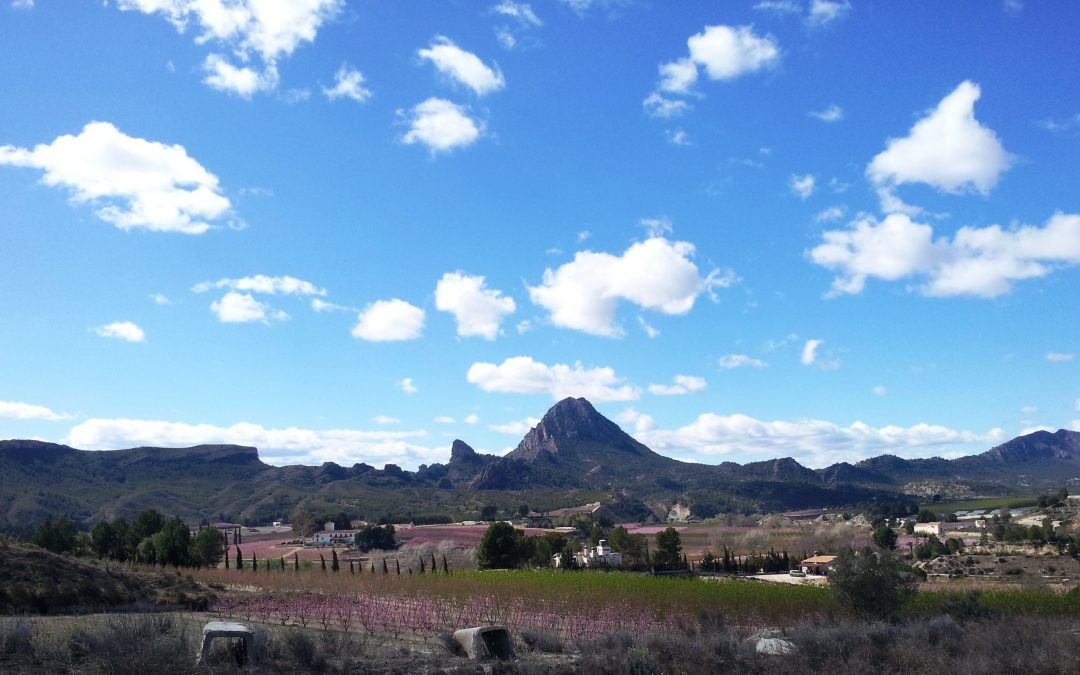 La Comunidad y el Ayuntamiento de Cieza trabajarán para atraer rodajes