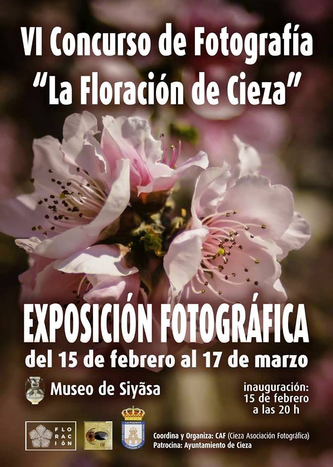 Foto del cartel de la exposición fotográfica del VI Concurso La floración en Cieza.