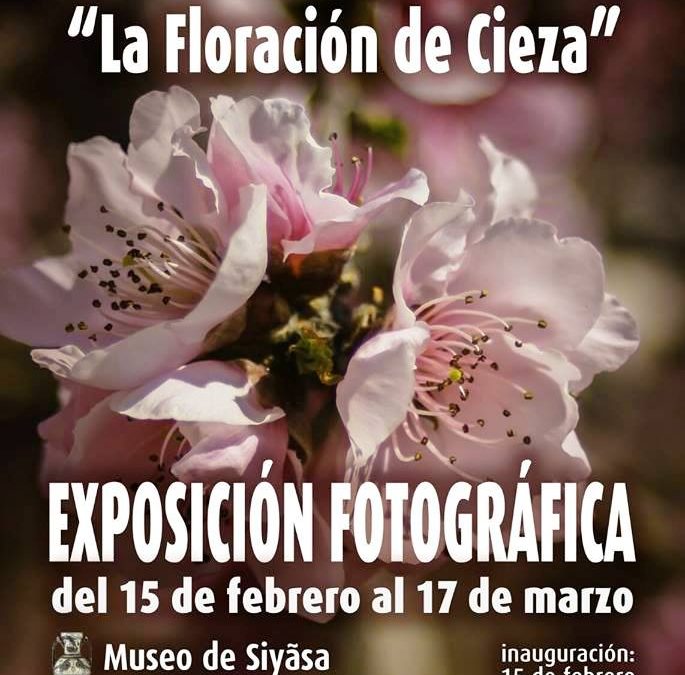 Inauguración de la exposición fotográfica VI Concurso “La Floración de Cieza”