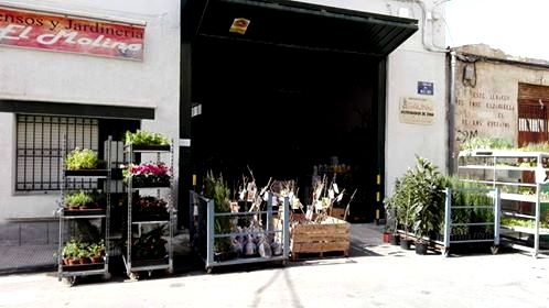 Puerta principal de Piensos y Jardinería El Molino, Cieza.