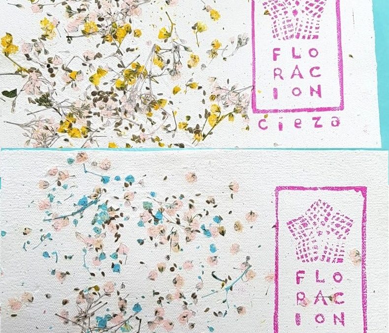 Nueva Fundación Los Albares y Floración de Cieza, el triunfo de la integración