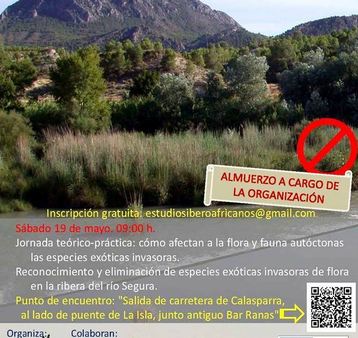 Actuación de voluntariado para la conservación de la flora y fauna riparia