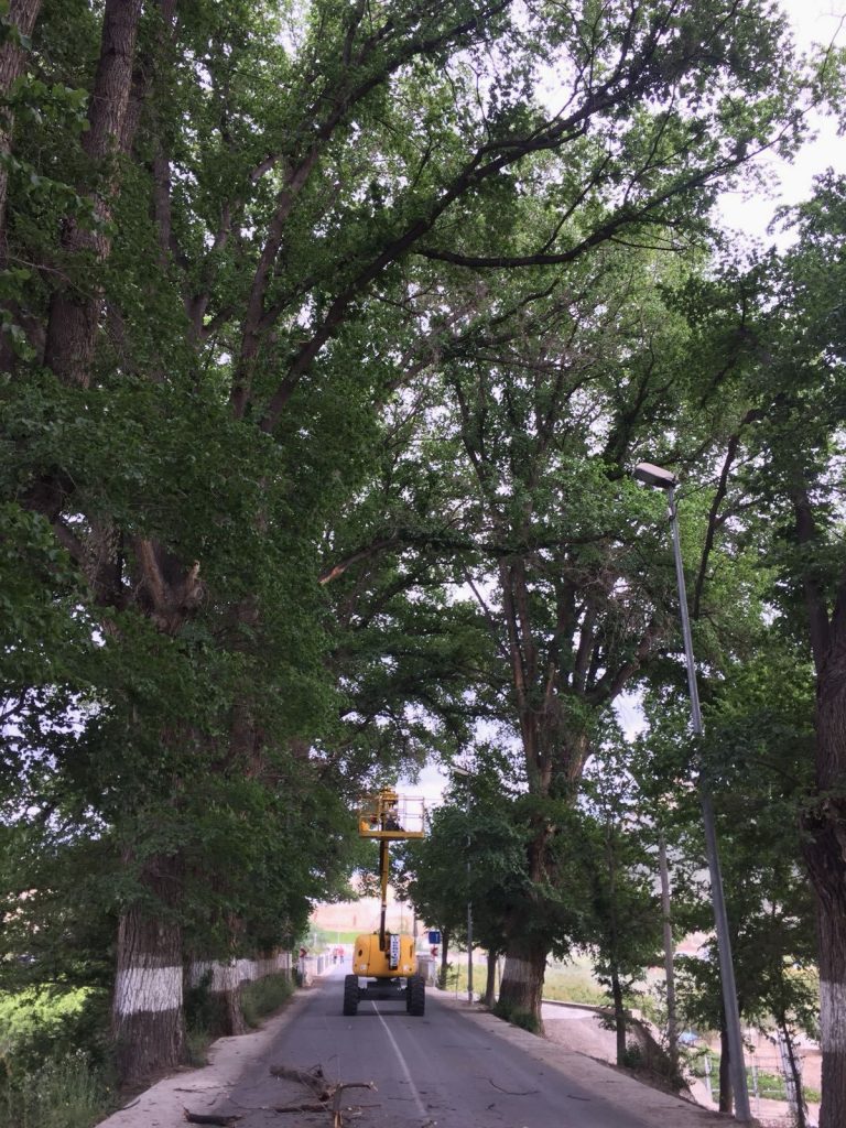 Foto donde se ven los Trabajos en la Olmeda del Maripinar en Cieza.