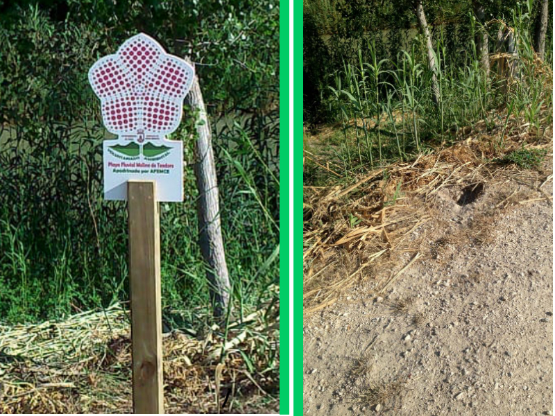 La Concejalía de Medio Ambiente denuncia la desaparición de una señal de una playa fluvial