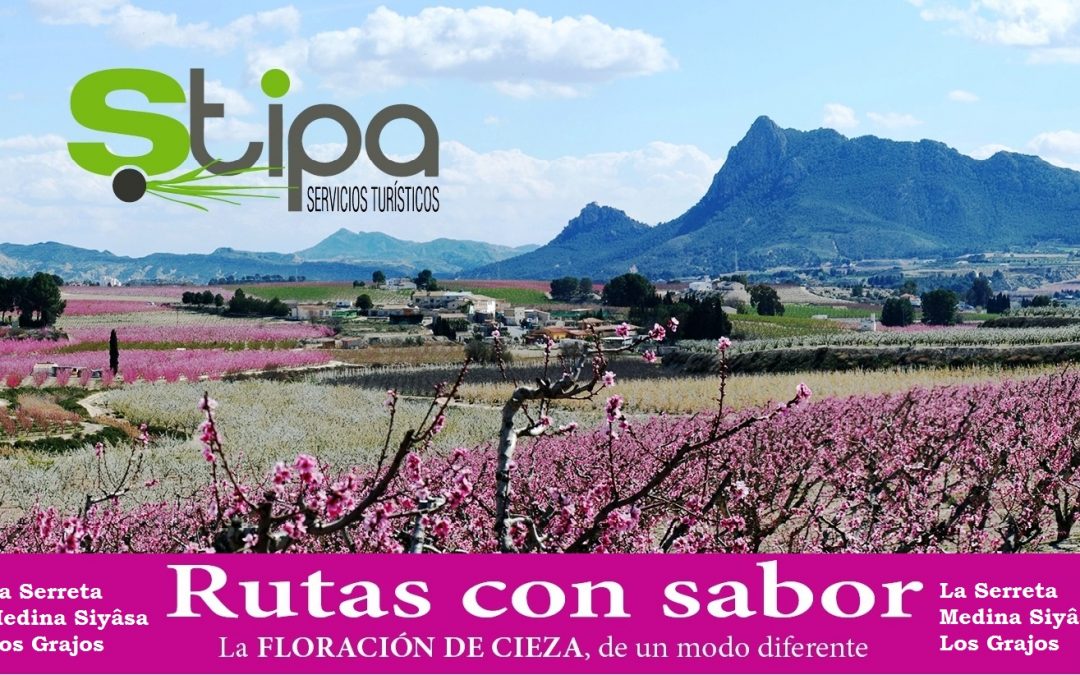 Stipa Servicios Turísticos