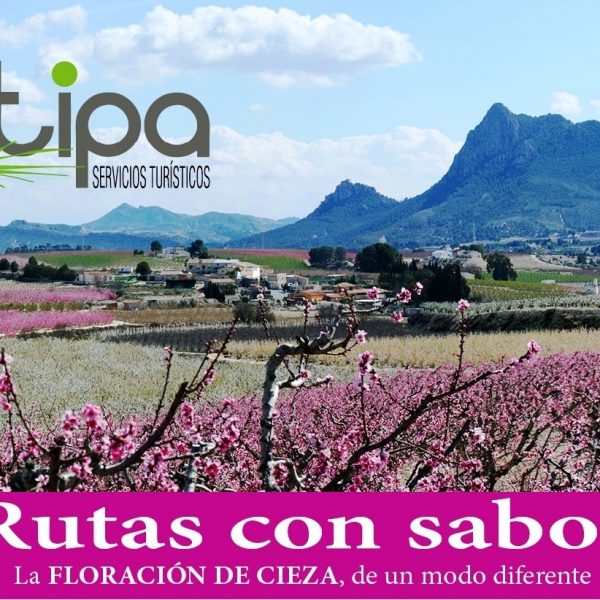 Stipa Servicios Turísticos