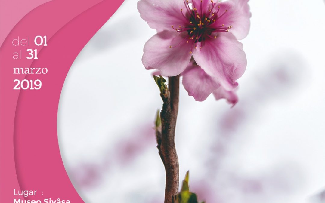 Inauguración de la exposición sobre el VII Concurso de Fotografía Floración de Cieza
