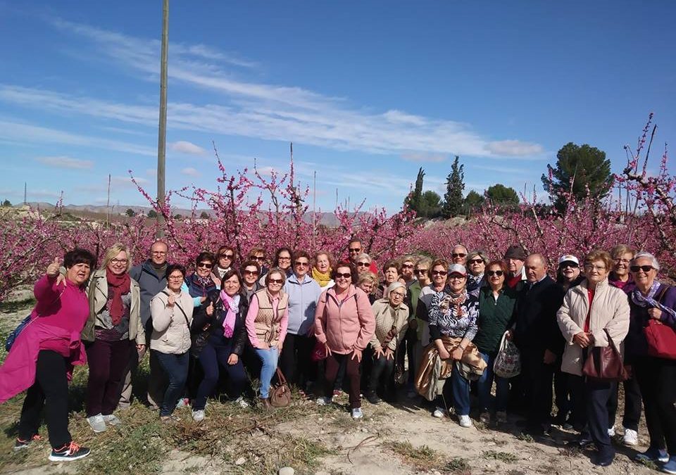 Los Mayores de Cieza en la floración