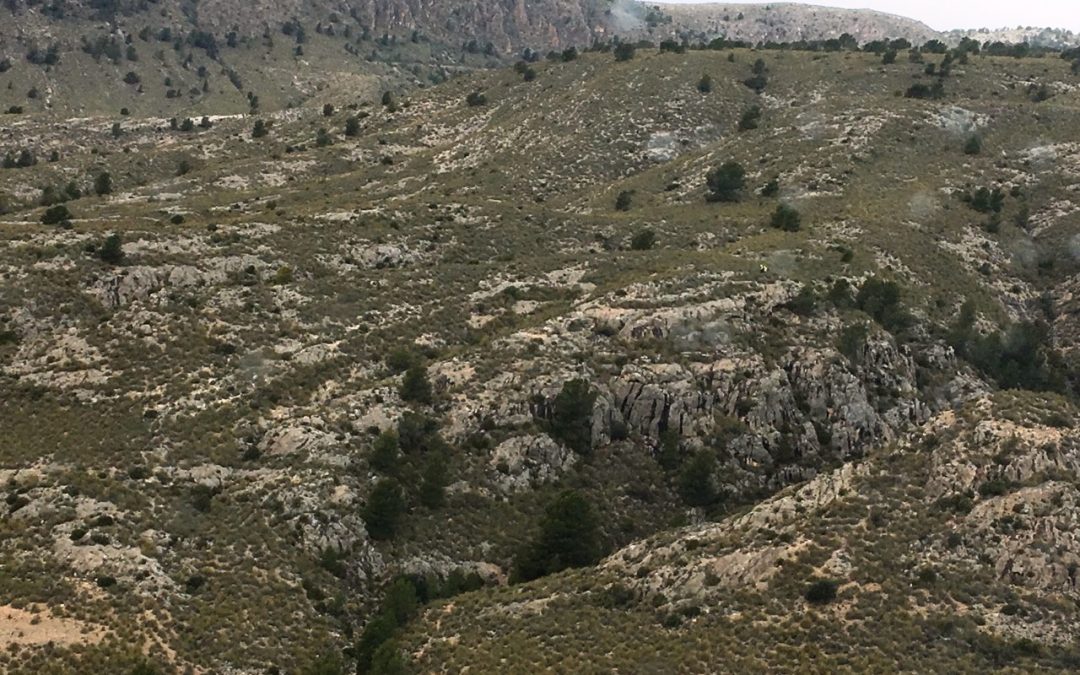 Helicóptero y bomberos rescatadores evacúan al hospital a dos heridos tras caer por un desnivel en la Rambla del Moro