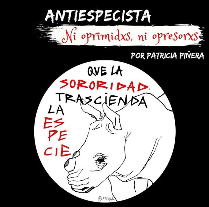 Charla sobre feminismo antiespecista este lunes en el Club Atalaya