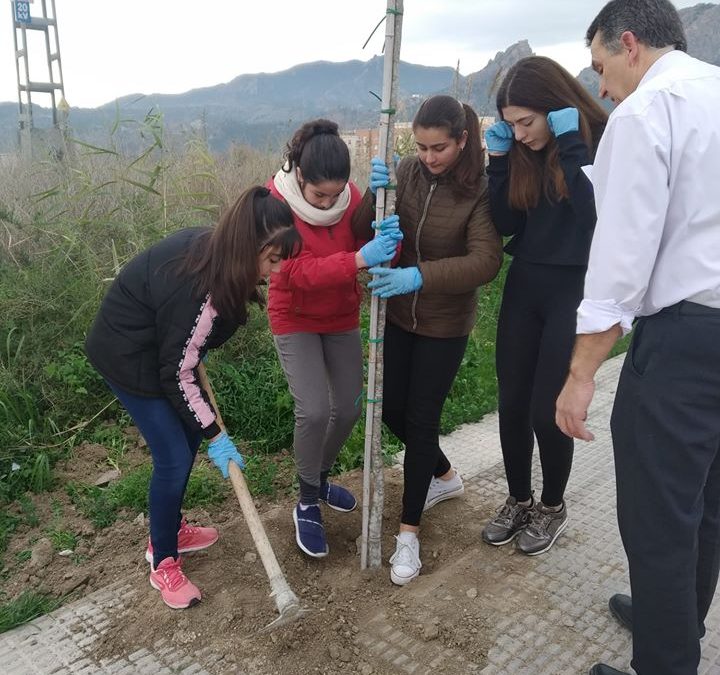 Los alumnos y alumnas de 1º de ESO del IES Los Albares plantan árboles en la Avenida José Ríos Gil