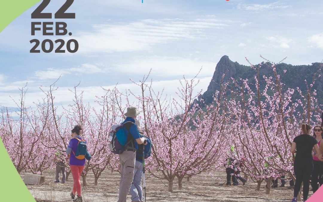 I Caminata Solidaria Floración de Cieza «Memorial Alberto Lucas Alarcón»
