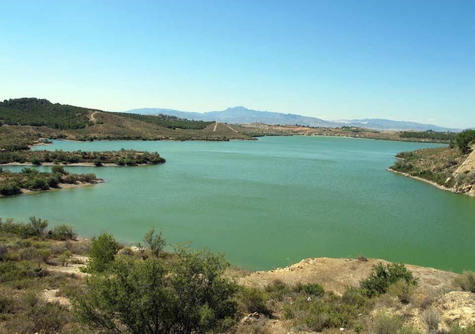 Nuevo ascenso en las reservas de la CHS