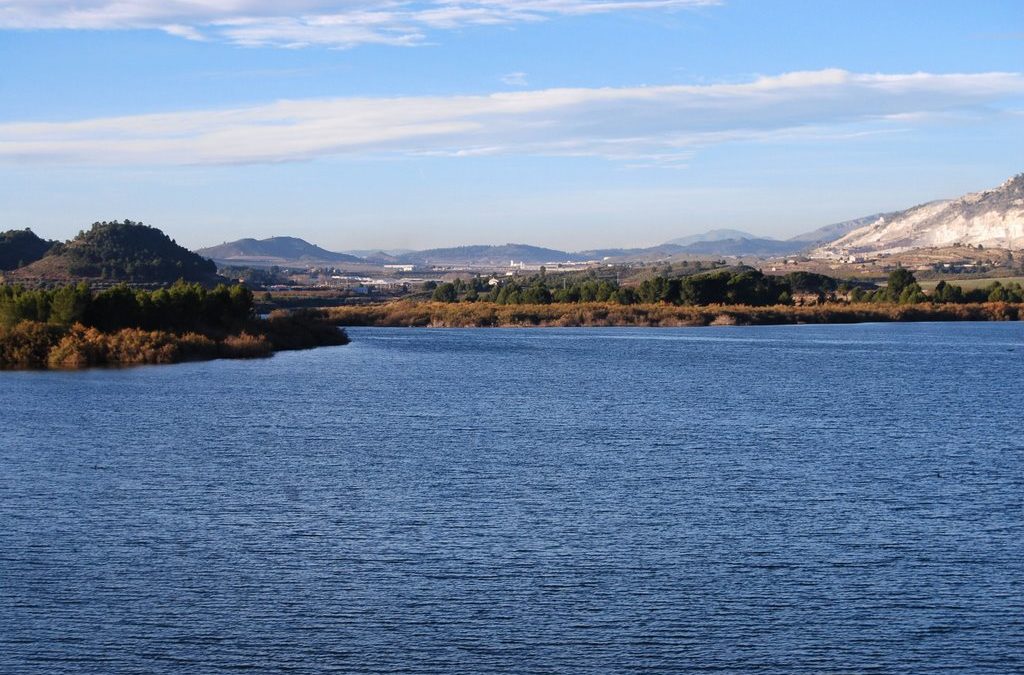 Ascenso esta semana en las reservas de la CHS