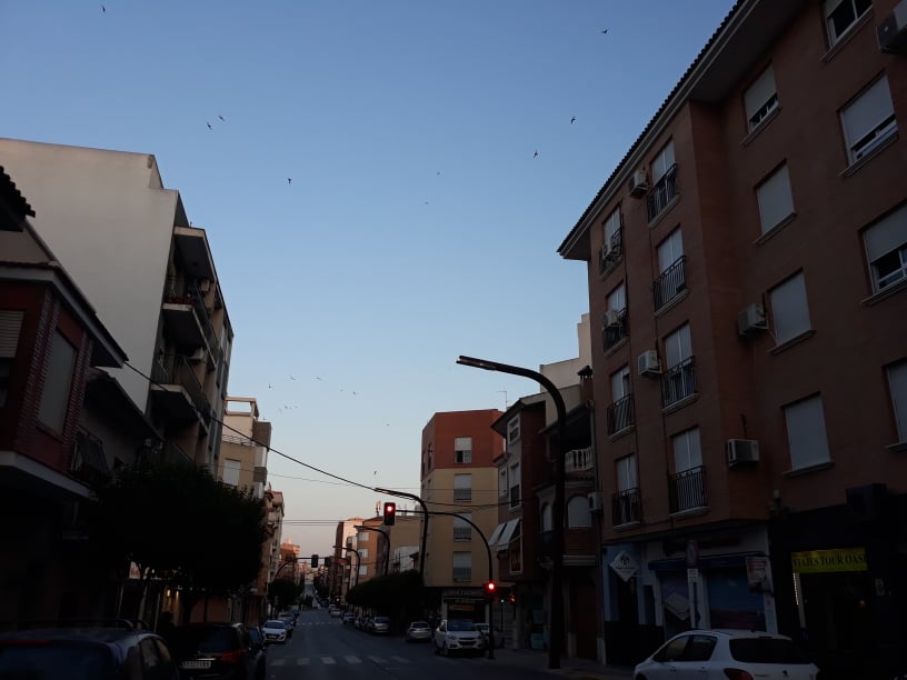 Temperaturas estables, previsión meteorológica de la semana para Cieza