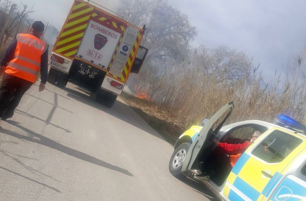 Pegan fuego de nuevo en la ribera del río a su paso por Cieza