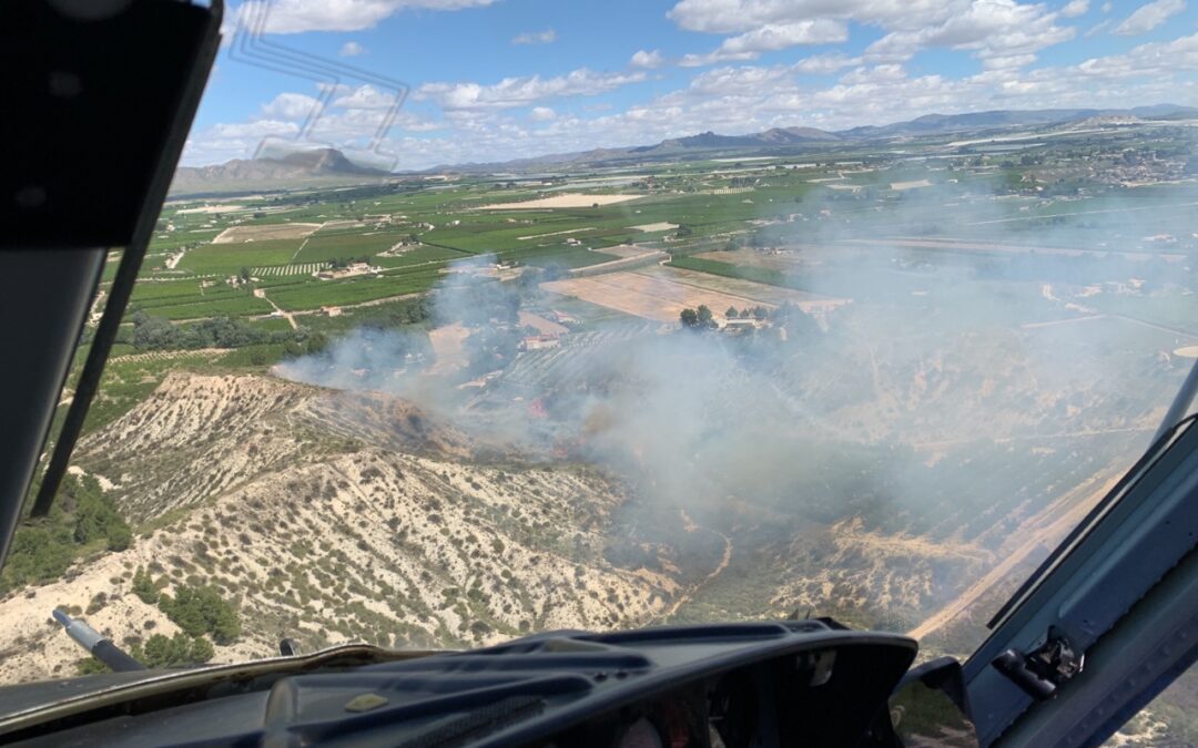 Incendio Forestal en el Ginete