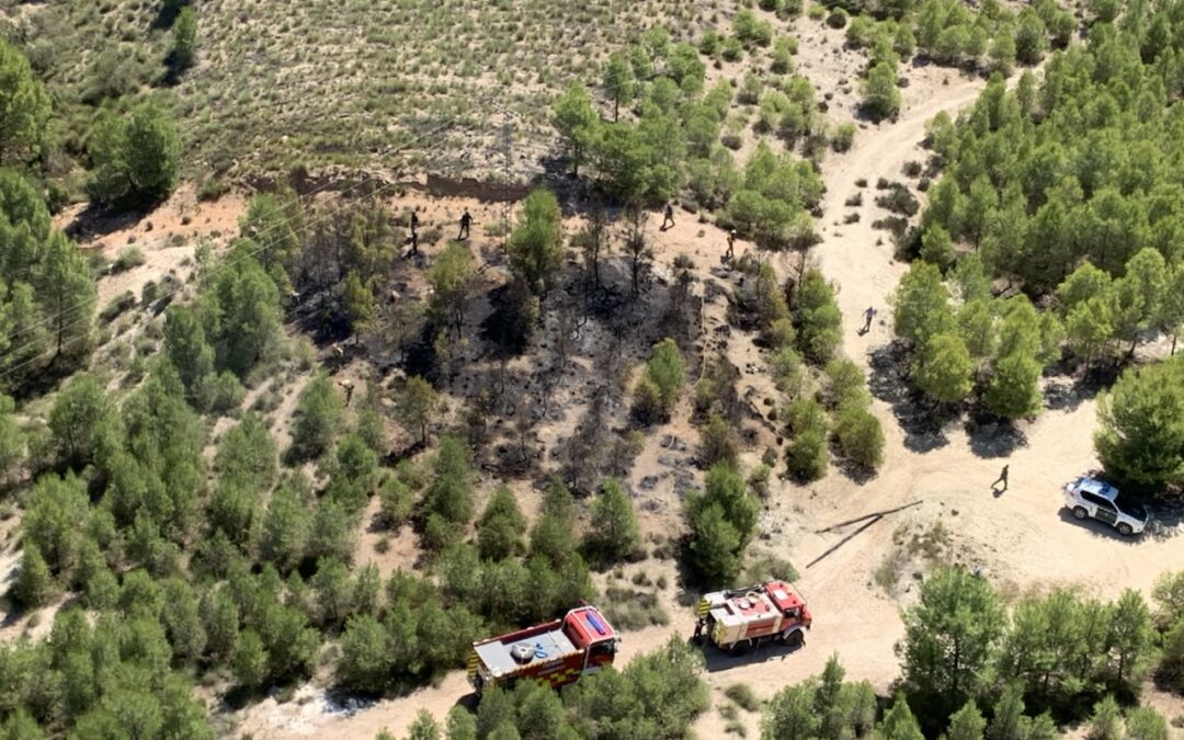 Efectivos del Plan Infomur controlan un incendio forestal en Cieza