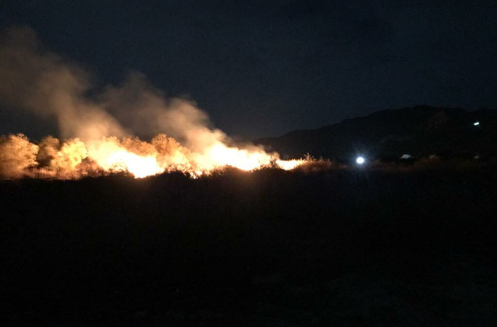 Se produce un incendio de matorral en Cieza