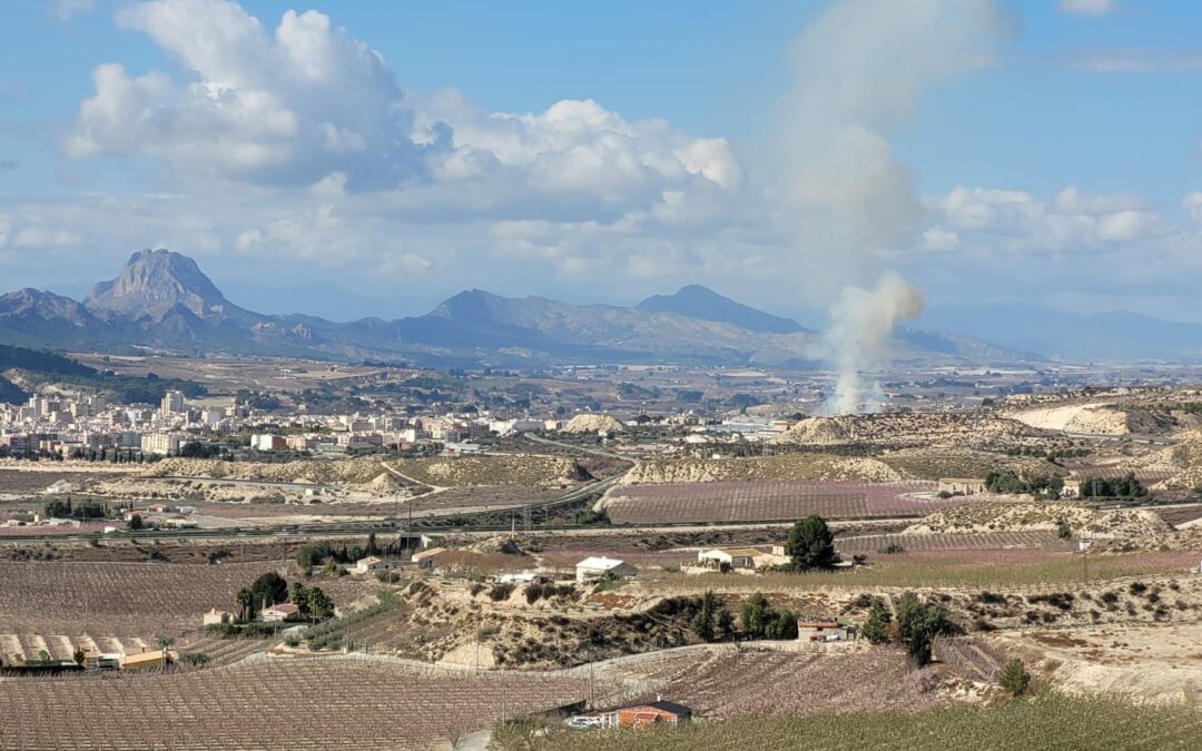 Incendio en el Cauce del Río Segura en Cieza