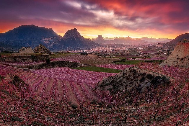 Cieza, uno de los 15 paisajes de la nueva campaña de Nutella