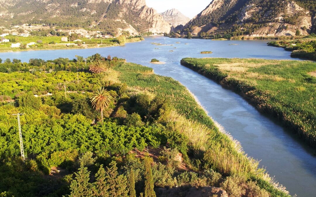 Cieza apoya a Blanca en su aspiración a Capital del Turismo Rural 2022