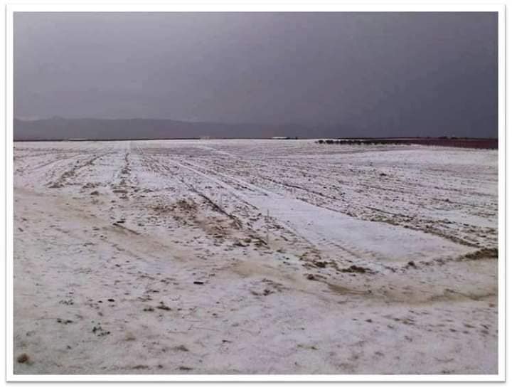 42 Años de la nube del Carmen