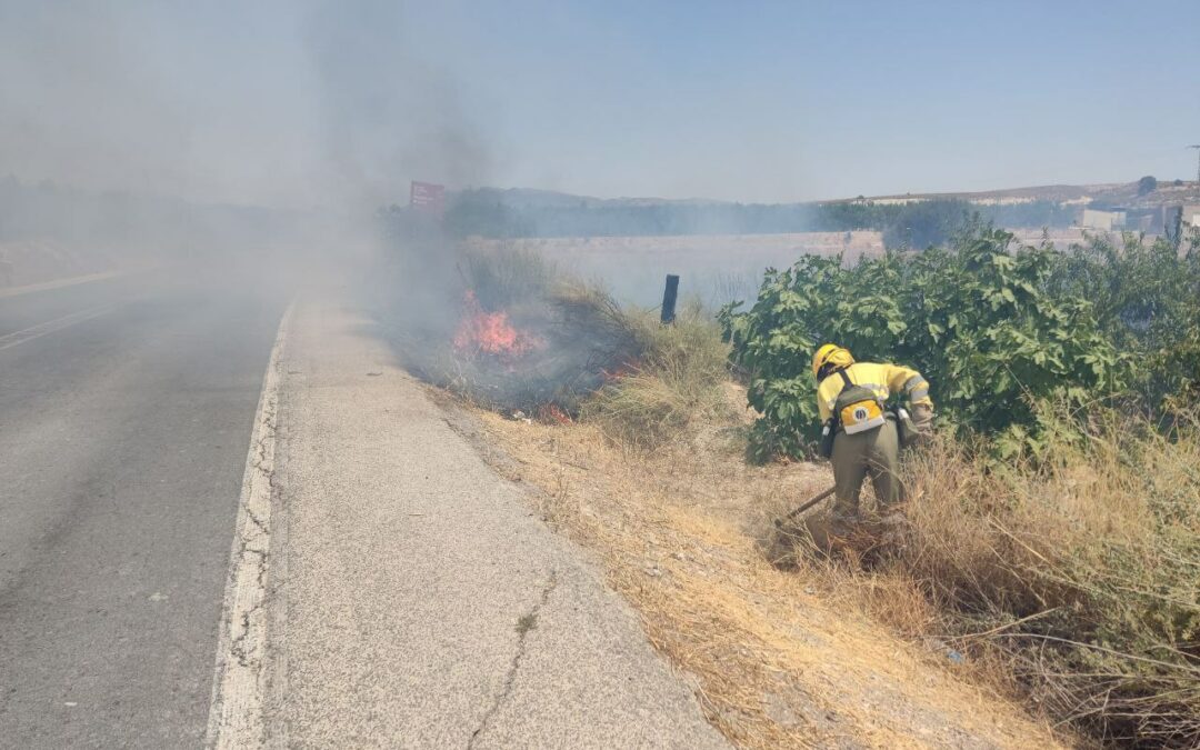 Efectivos del Plan Infomur extinguen un incendio agrícola
