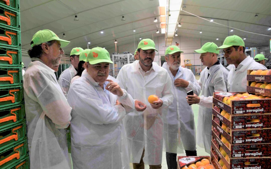 La IGP del melocotón de Cieza supera el filtro europeo