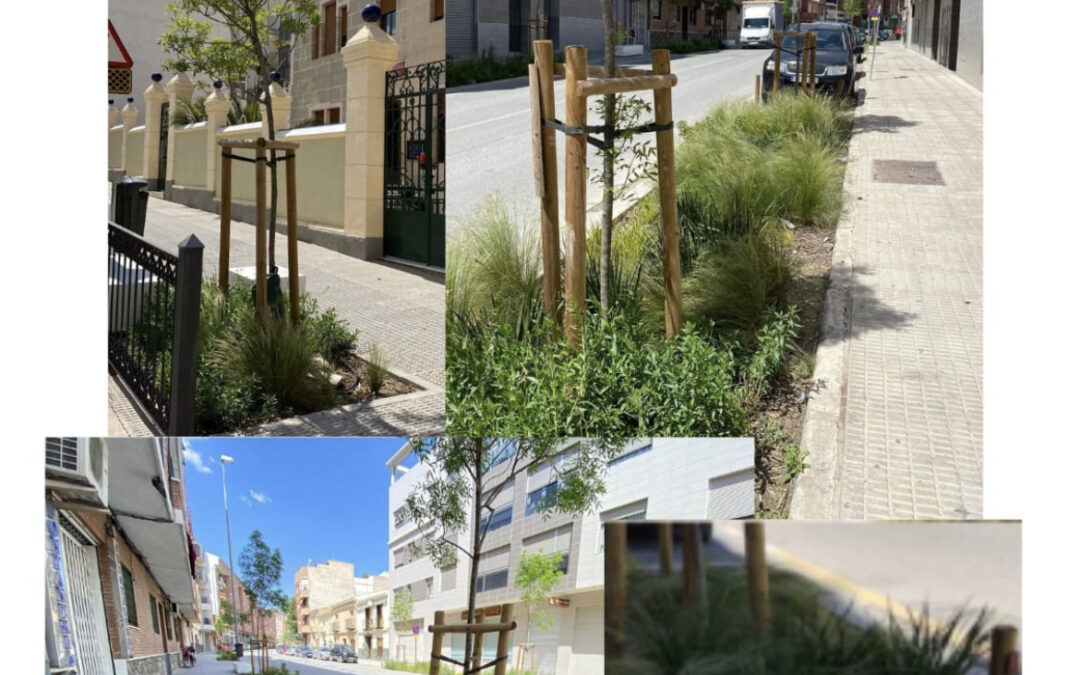 Se inicia en Cieza una campaña de control biológico de plagas