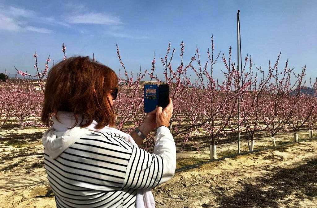 De Bilbao a Cieza en Blablacar por Floración