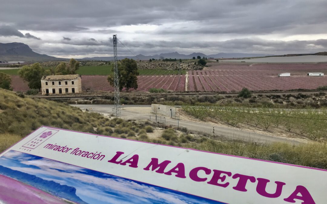 Las obras de la Vía Verde de la Floración afrontan la recta final