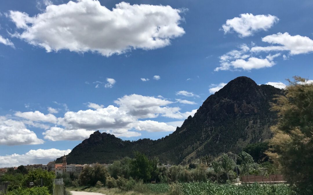 Temperaturas máximas extremas. Previsión meteorológica de la semana.