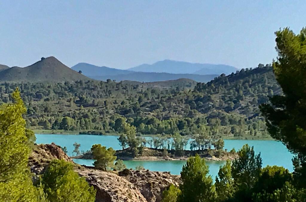 Se establecen las disposiciones de vedas para la pesca fluvial