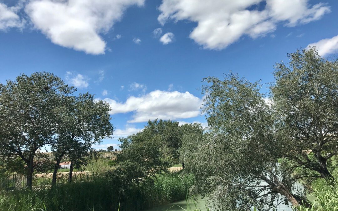 Semana de temperaturas muy altas. Previsión meteorológica