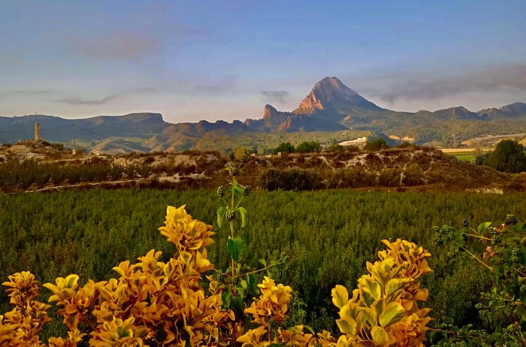 De vuelta a temperaturas muy altas. Previsión meteorológica de la semana.