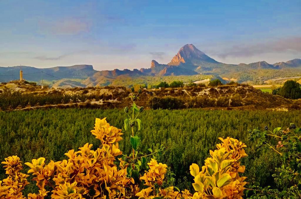 Tiempo variable. Previsión meteorológica de la semana