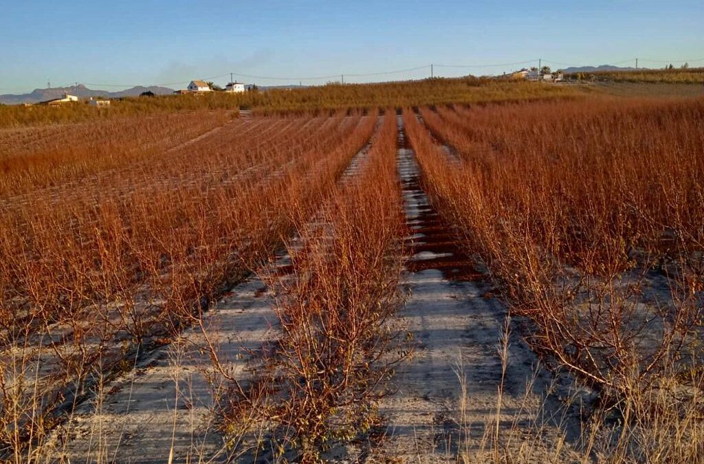 Continúa el tiempo estable. Previsión meteorológica de la semana.