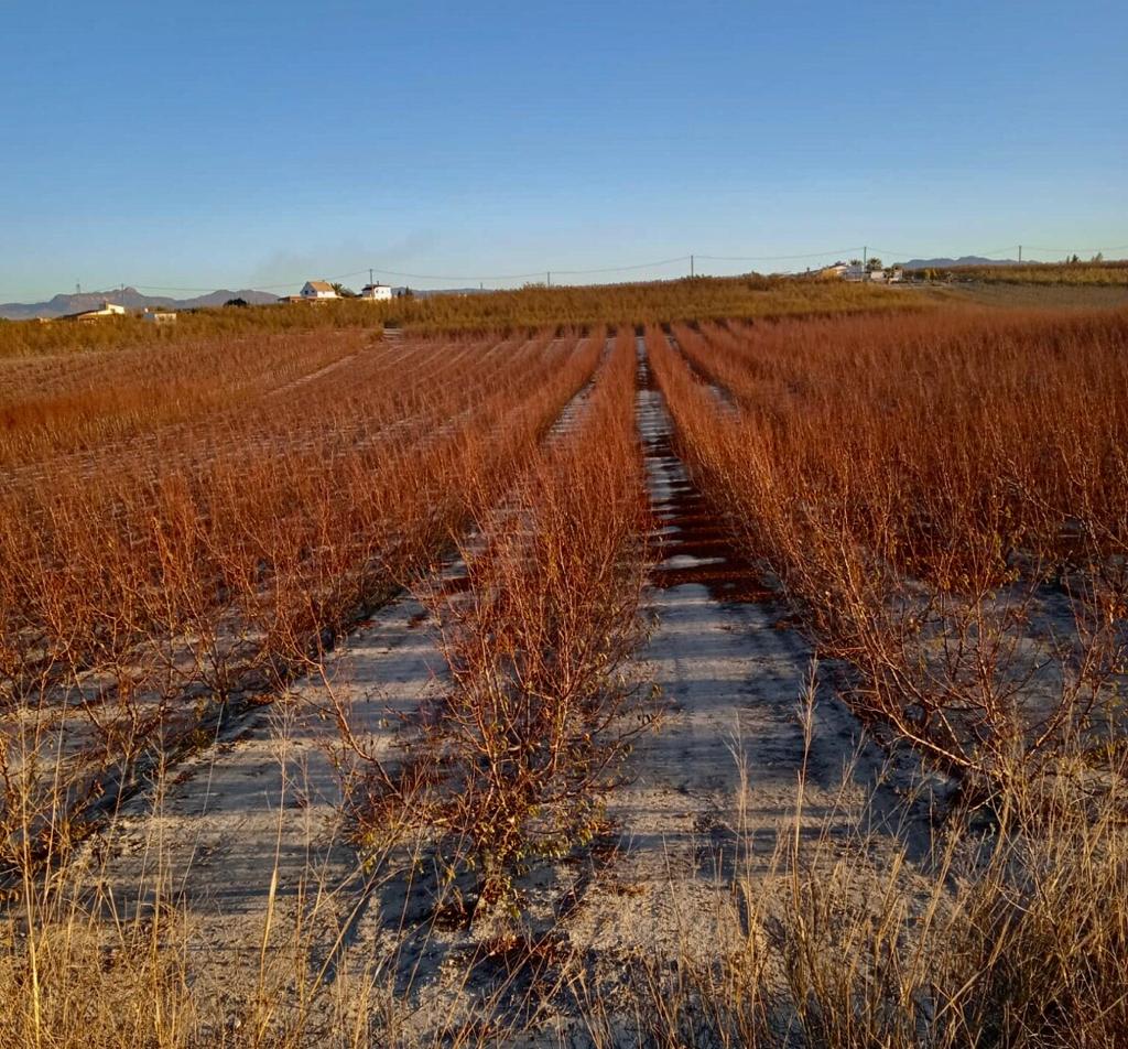tiempo desde El Horno